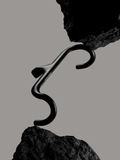 Sculpture Handlebar - 38 CM ⨉ 110 CM